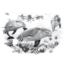 DOLPHIN FRIENDS 14732SA2.gif